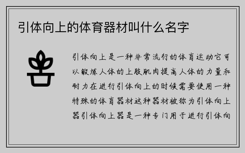 引体向上的体育器材叫什么名字