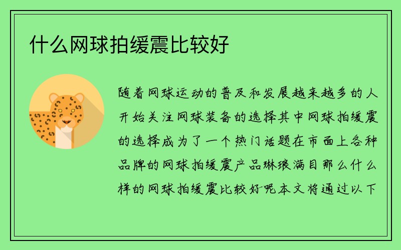 什么网球拍缓震比较好